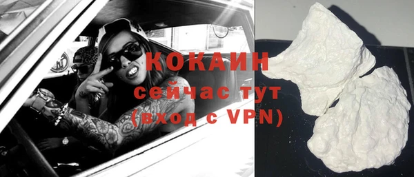 индика Белокуриха