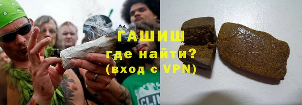 индика Белокуриха