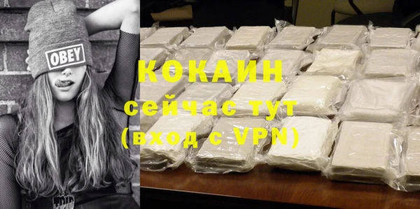 индика Белокуриха