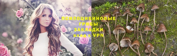 дживик Беломорск