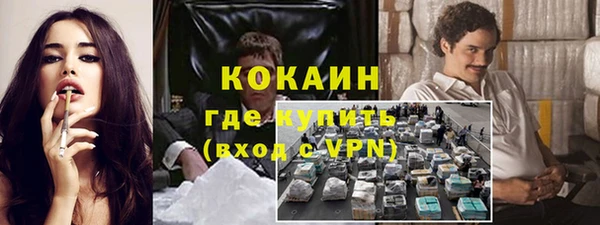 индика Белокуриха
