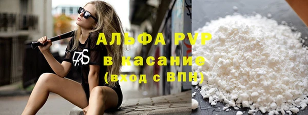 индика Белокуриха