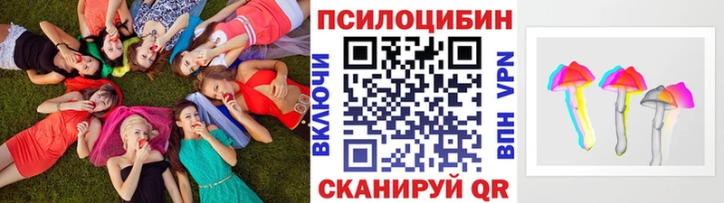 Купить  Гудермес  Галлюциногенные грибы ЛСД 
